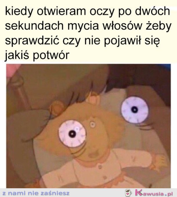 MOJE PARANOJE