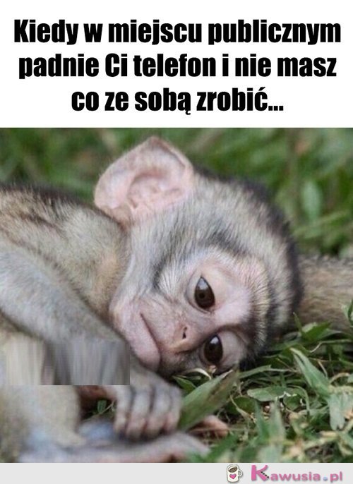 Także tak...