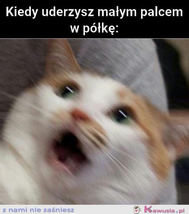 KIEDY UDERZYSZ MAŁYM PALCEM W PÓŁKĘ