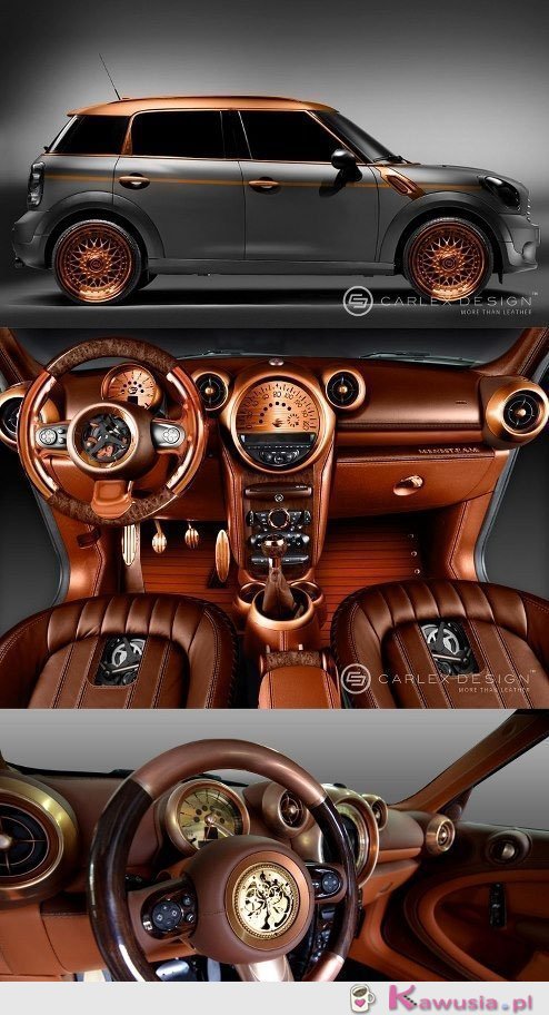 Oryginalny samoch&oacute;d