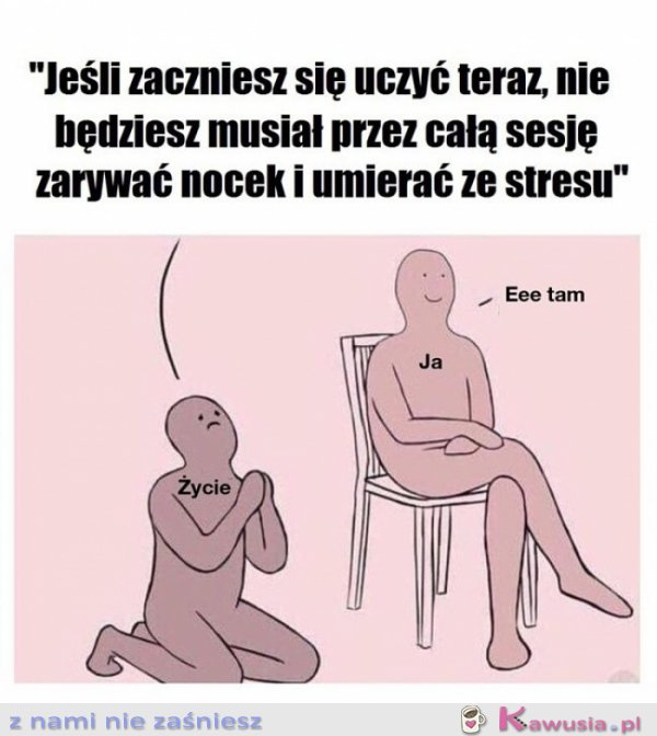  systematyczna nauka