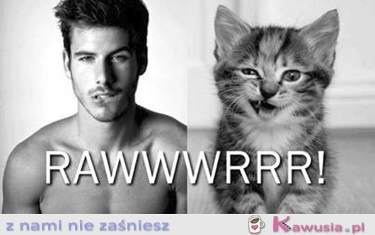 RAWWWRRR!