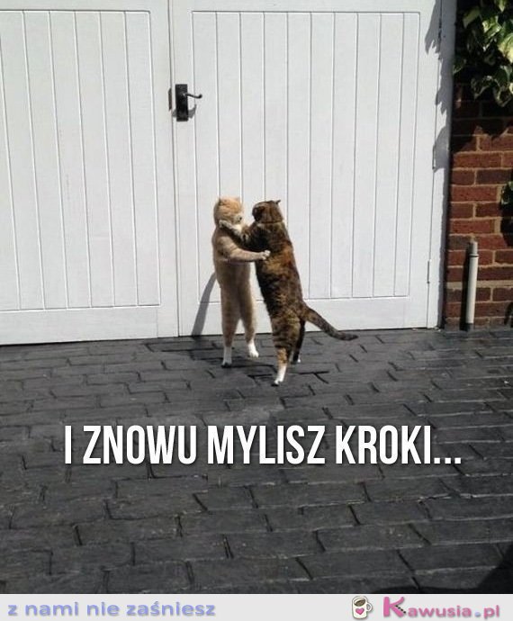 I znowu mylisz kroki