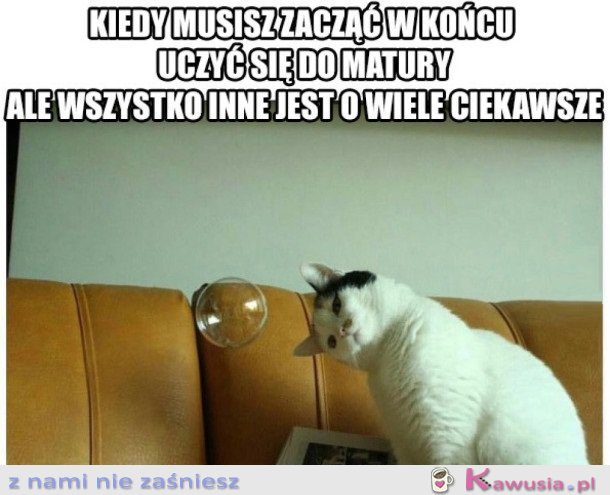 WSZYSTKO TYLKO NIE NAUKA