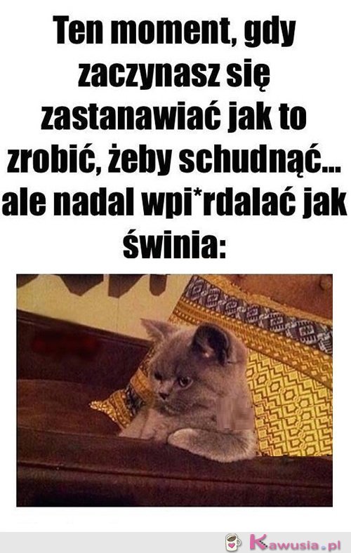 Oto jest pytanie...