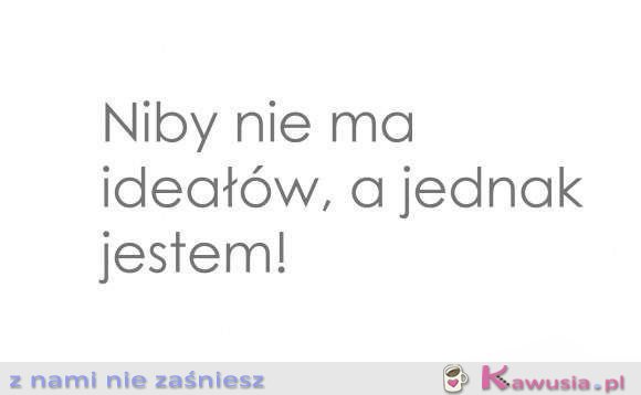 Niby nie ma ideałów..