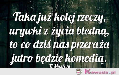 Taka już kolej rzeczy