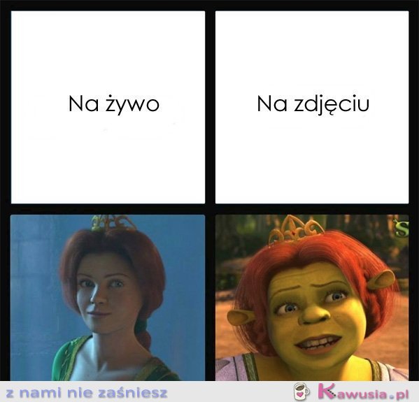 Na żywo, a na zdjęciu
