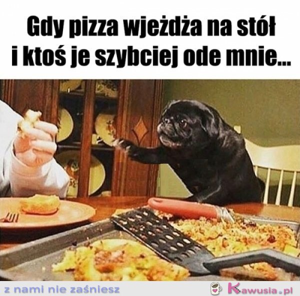 Człowieku uspok&oacute;j się...