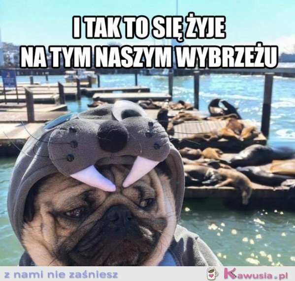 I TAK TO SIĘ ŻYJE