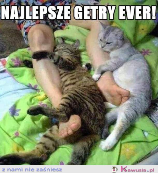 NOWE GETRY