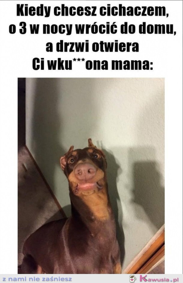 POWROTY DO DOMU TAKIE SĄ