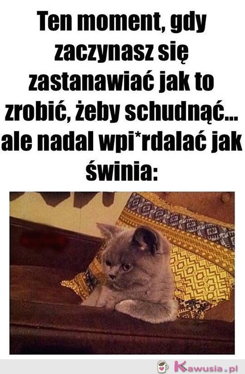 Oto jest pytanie...