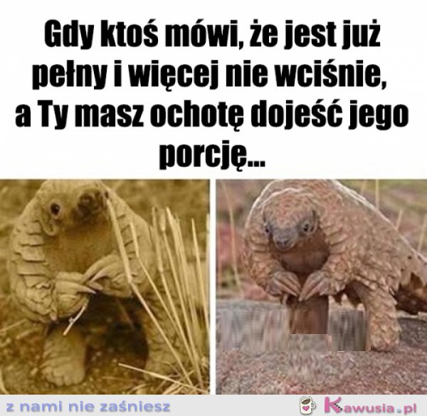 Co ma się zmarnować...