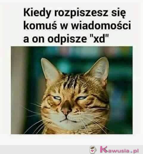 Ale się rozpisał