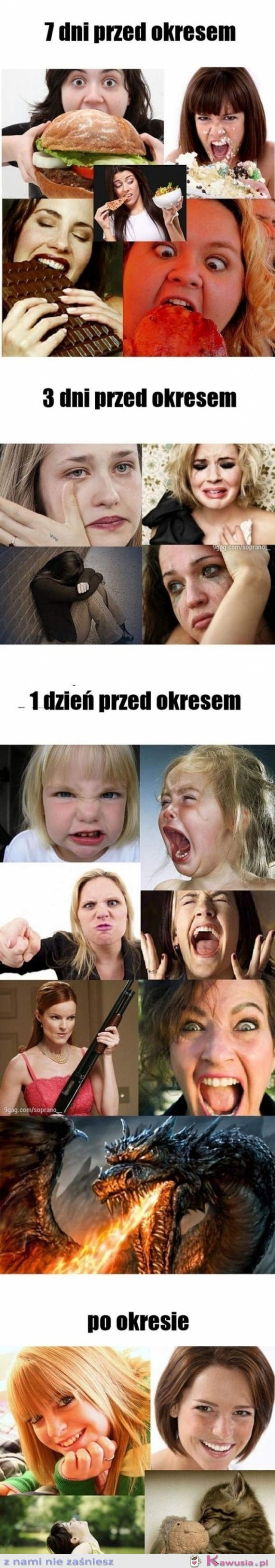Fazy okresu