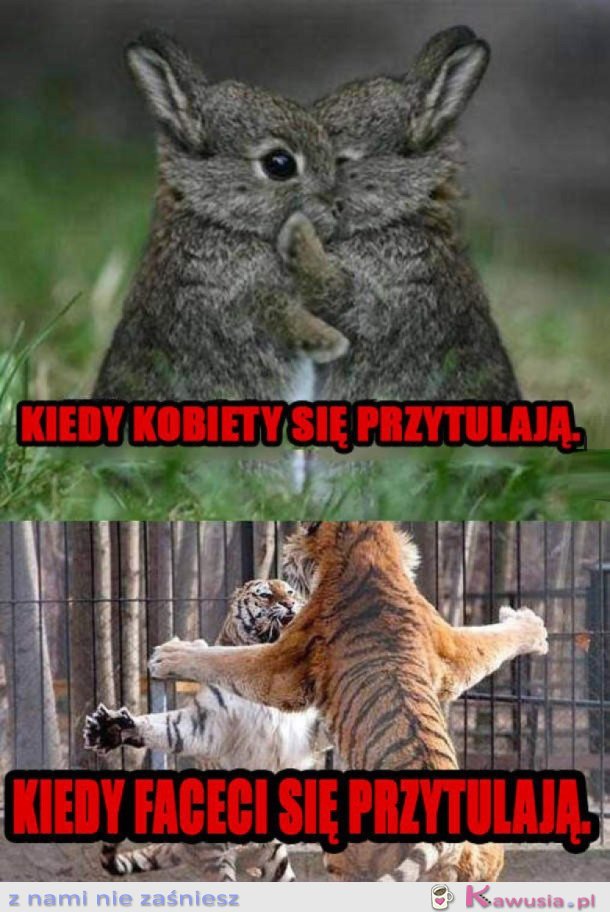 KOBIETY VS MĘŻCZYŹNI