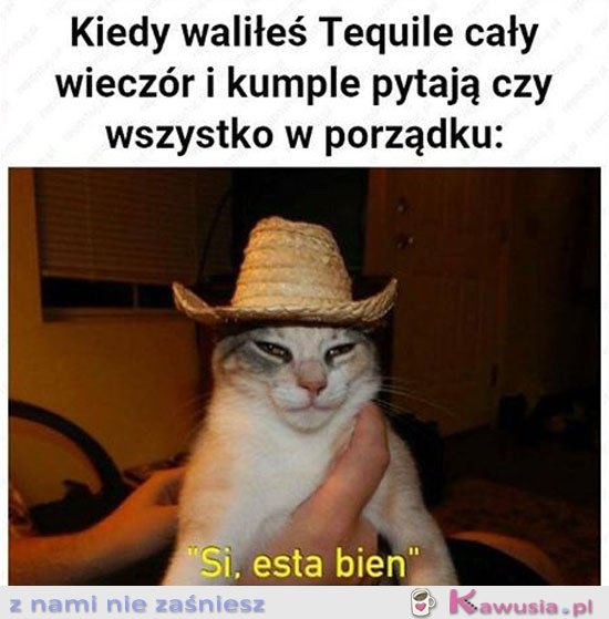 Kiedy piłeś cały wieczór Teqile