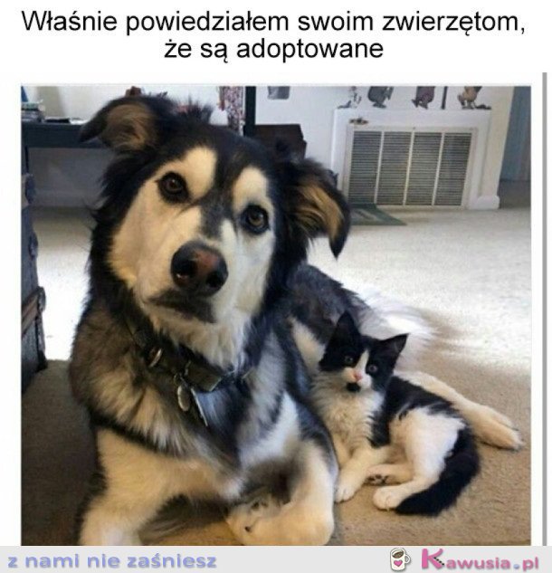 Właśnie się dowiedziały