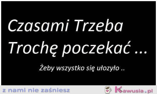 Czy warto?