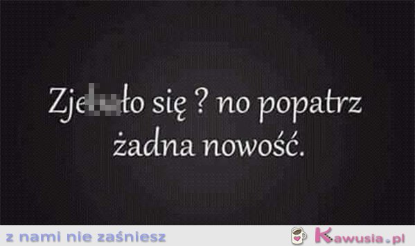 Żadna nowość