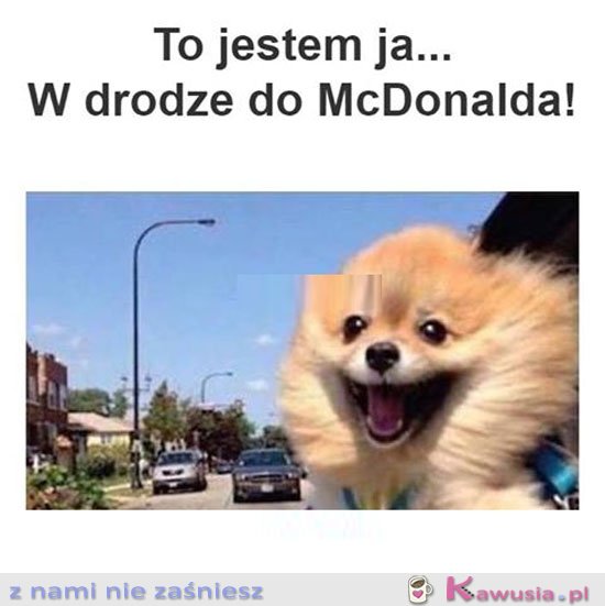 Ja w drodze do maka