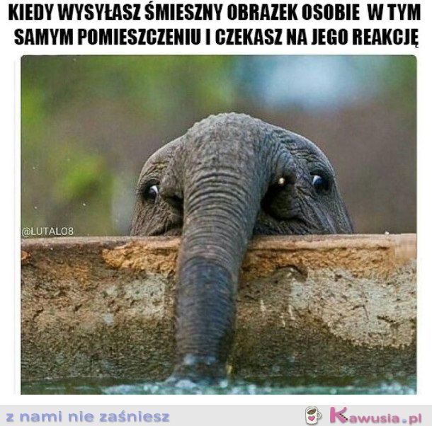 KIEDY WYSYŁASZ KOMUŚ ŚMIESZNY OBRAZEK