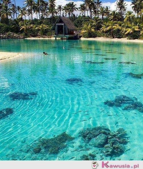 Cudowne miejsce na Bora Bora
