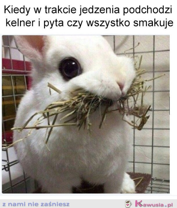 Kiedy jesz i podchodzi z kelner