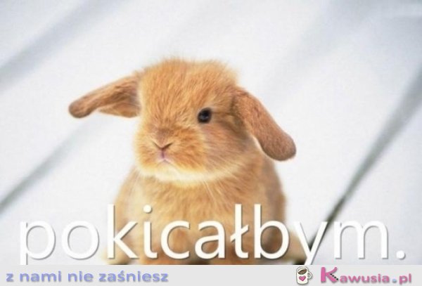 Pokicałbym