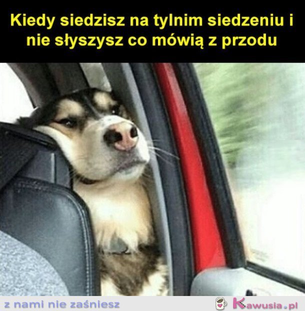 No mówcie głośniej