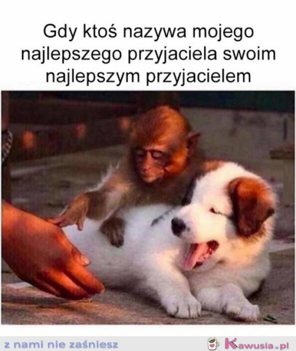 Ejjjj łapy precz