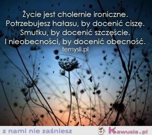 Życie jest ironiczne