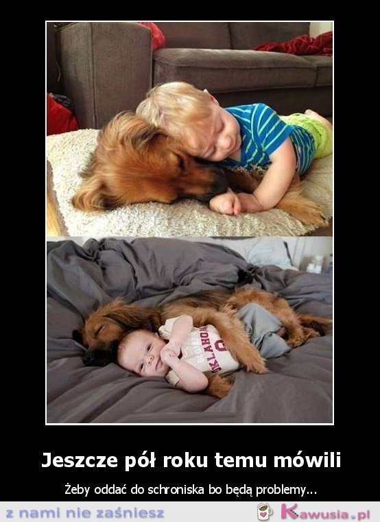 Jeszcze pół roku temu mówili...