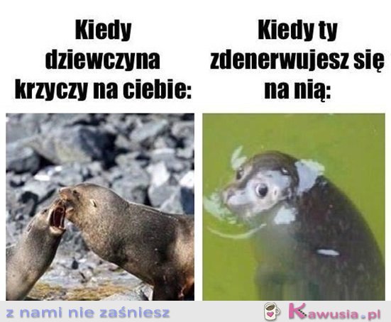 Ale co się stało...
