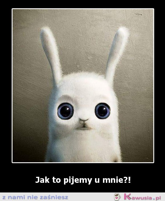 Jak to pijemy u mnie?!