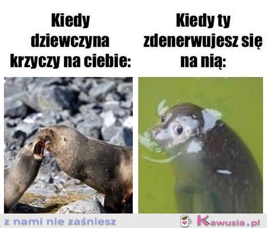 Ale co się stało...