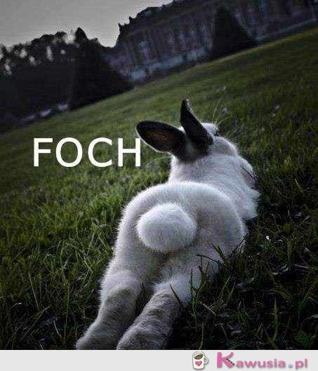 Foch   