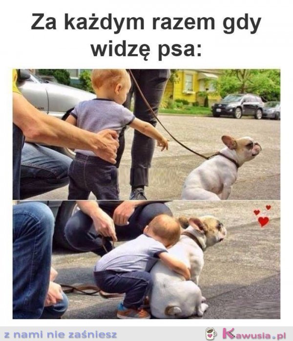 Za każdym razem kiedy widzę psa