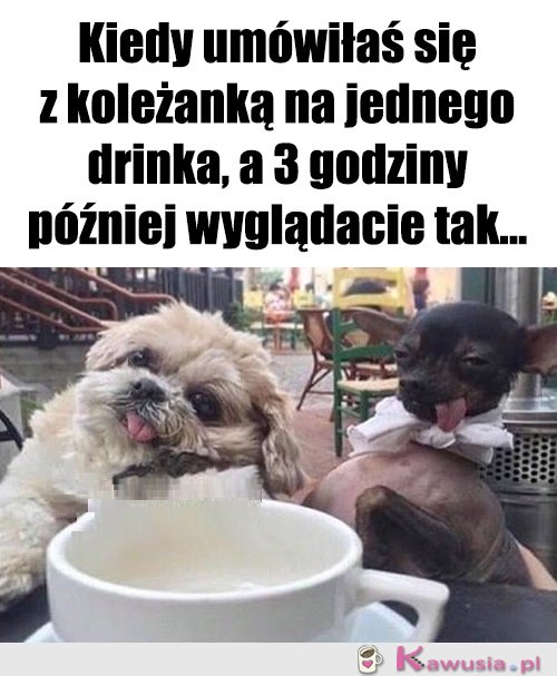 Tak jakoś wyszło...