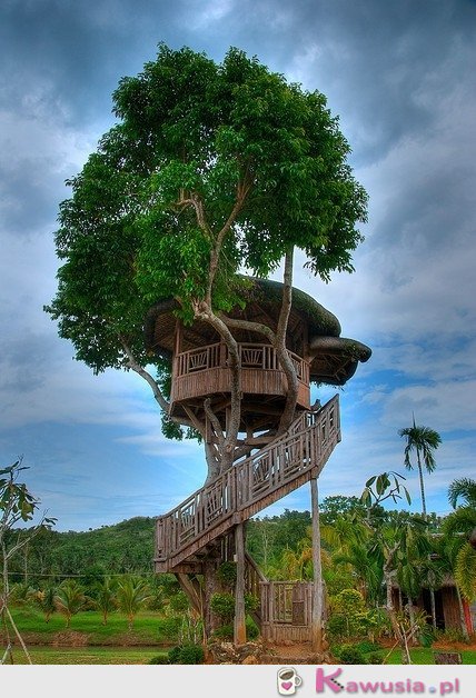 Niesamowity domek na drzewie