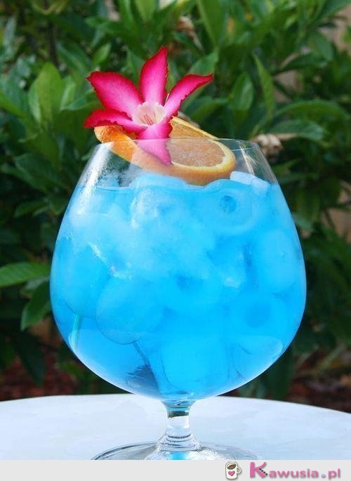 Drinki, drineczki