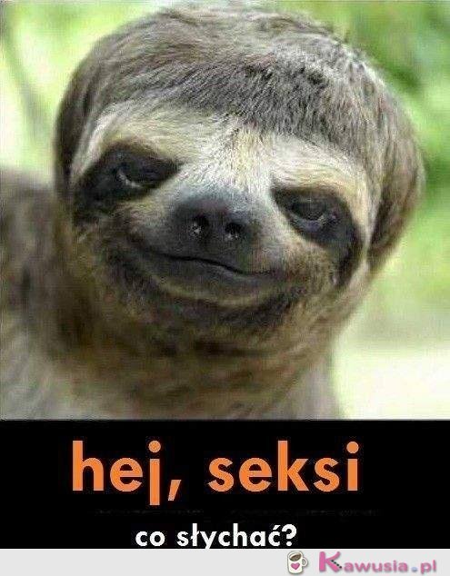 Hej...