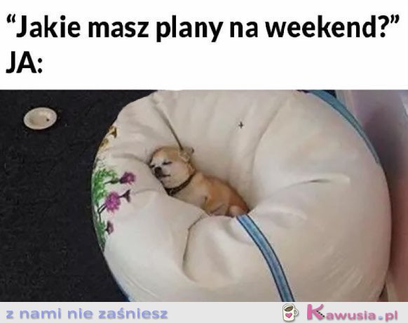 MOJE PLANY NA WEEKEND
