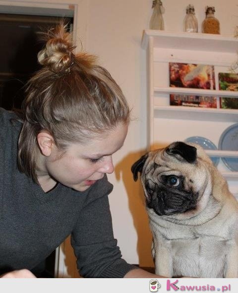 Ale dasz spr&oacute;bować?