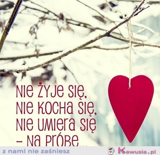 Nie żyje się...