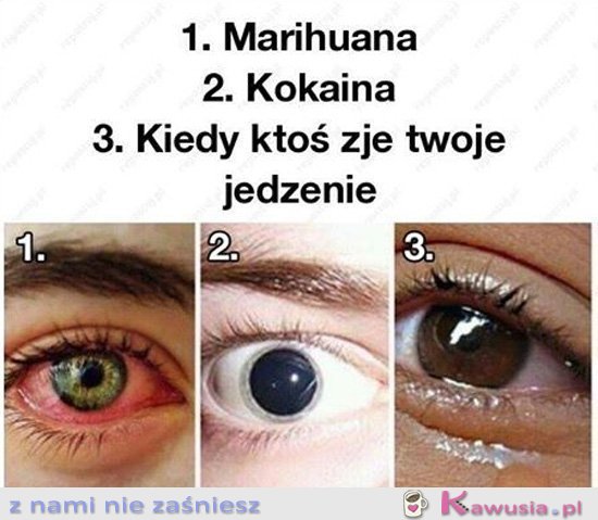 Kiedy ktoś zje twoje jedzenie