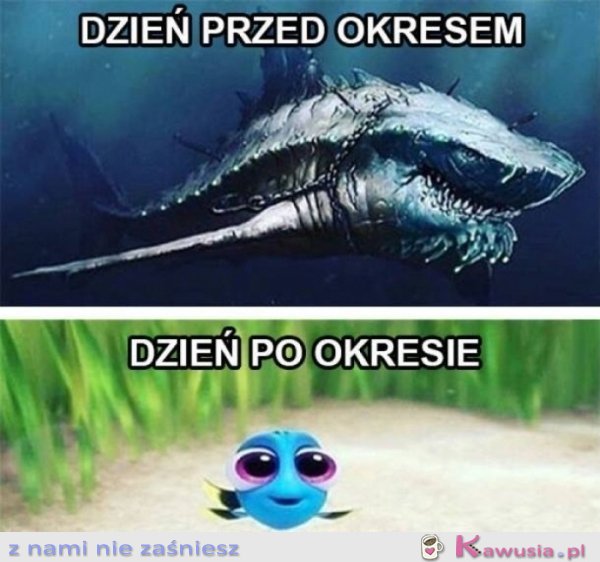 Dzień przed i po