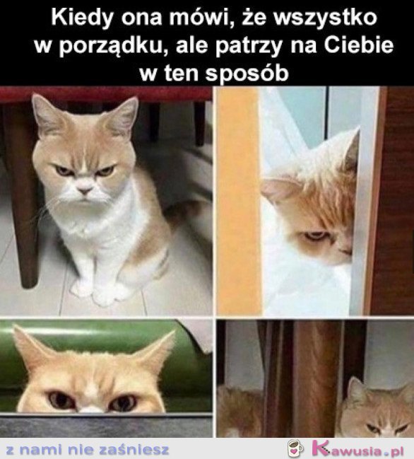 KOBIETY TAKIE SĄ