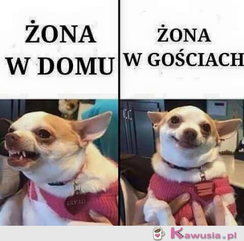 Żona w domu i w gościach